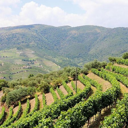 Вилла Quinta Do Monte Bravo - Douro - Quarto Duplo Ervedosa do Douro Экстерьер фото