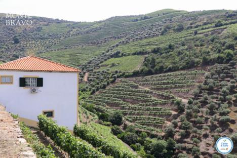 Вилла Quinta Do Monte Bravo - Douro - Quarto Duplo Ervedosa do Douro Экстерьер фото
