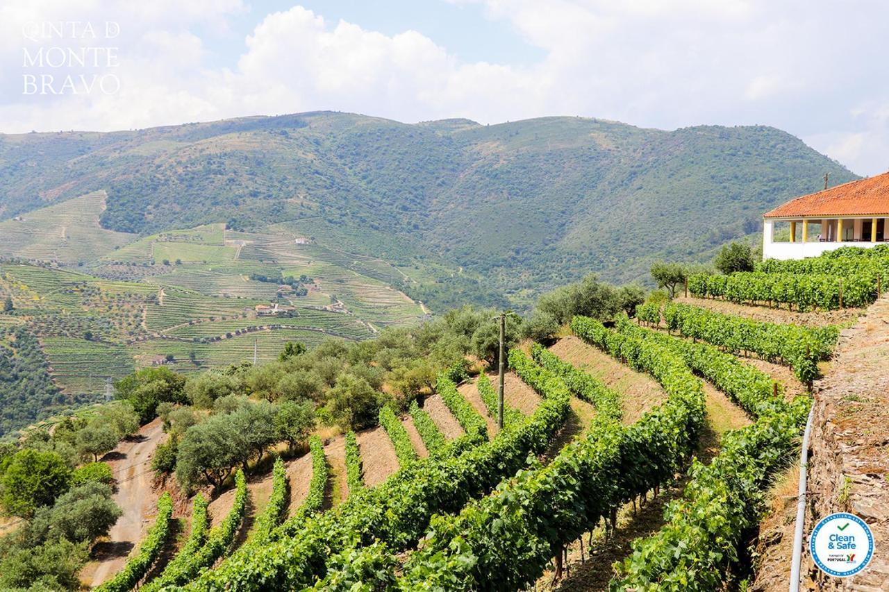 Вилла Quinta Do Monte Bravo - Douro - Quarto Duplo Ervedosa do Douro Экстерьер фото
