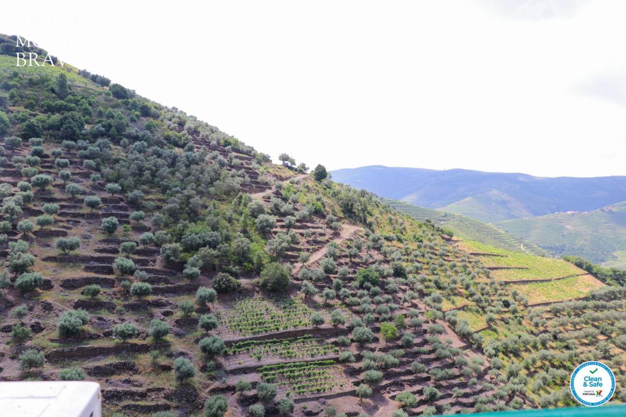 Вилла Quinta Do Monte Bravo - Douro - Quarto Duplo Ervedosa do Douro Экстерьер фото