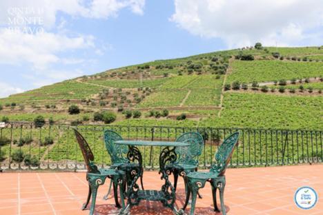Вилла Quinta Do Monte Bravo - Douro - Quarto Duplo Ervedosa do Douro Экстерьер фото