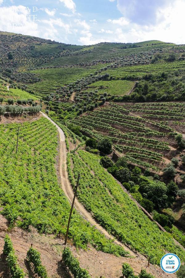 Вилла Quinta Do Monte Bravo - Douro - Quarto Duplo Ervedosa do Douro Экстерьер фото