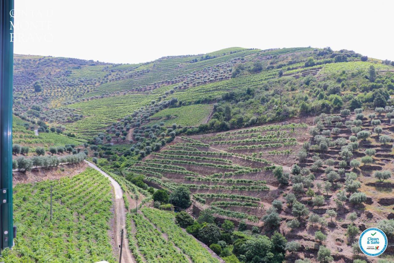 Вилла Quinta Do Monte Bravo - Douro - Quarto Duplo Ervedosa do Douro Экстерьер фото